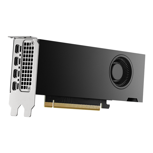   Nvidia RTX 2000 Ada Generation 16GB 5